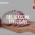 Tip Sabor Cebolla